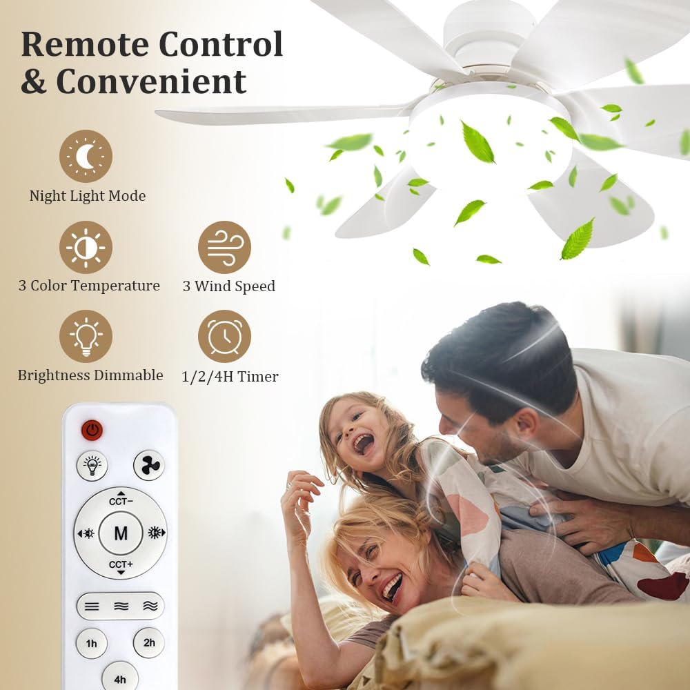 Socket Fan Light with Remote,  - Commercial Kitchen Lighting review and price